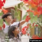 Extraordinary you discount kdrama free online