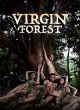 Virgin Forest